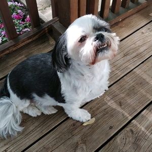 Meet your Posher, Thomas